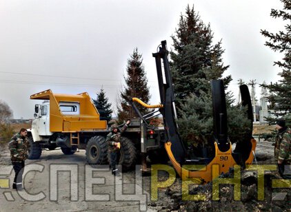 FORD для
                        пересадки