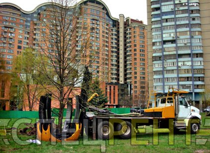 FORD для
                        пересадки